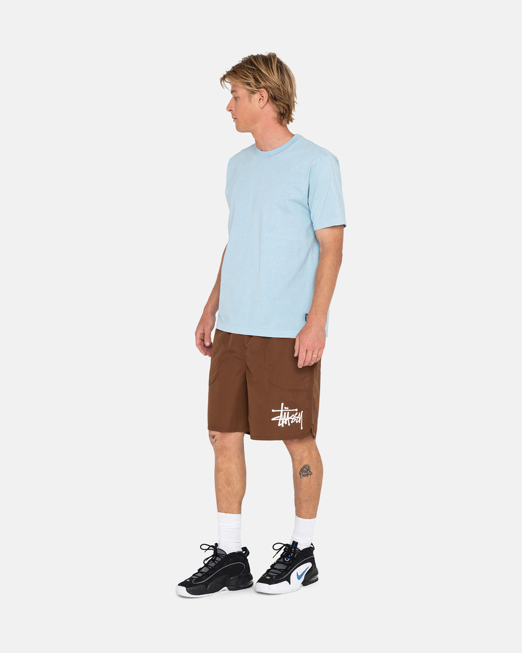 Shorts Stussy Big Basic D'eau Violette | LHIQ-88185479